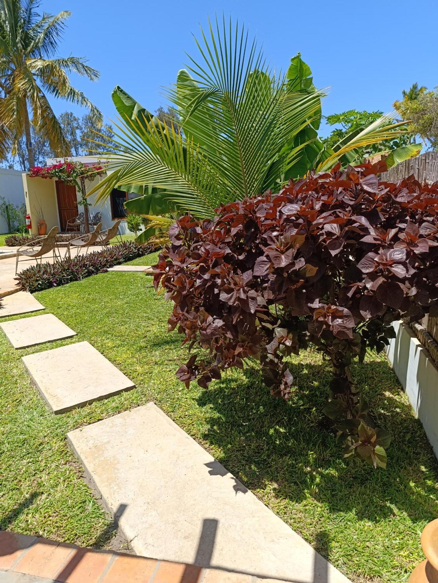 Telvina Beach Lodge Vilanculos Bagian luar foto